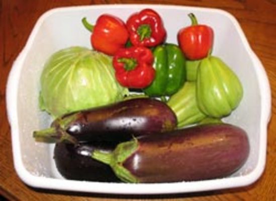 Product picture ebook on Tips for Growing a Vegetable Garden